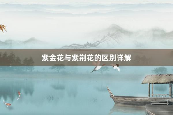 紫金花与紫荆花的区别详解